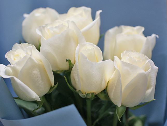 Bouquet of 7 white Dutch roses 80-90 cm photo